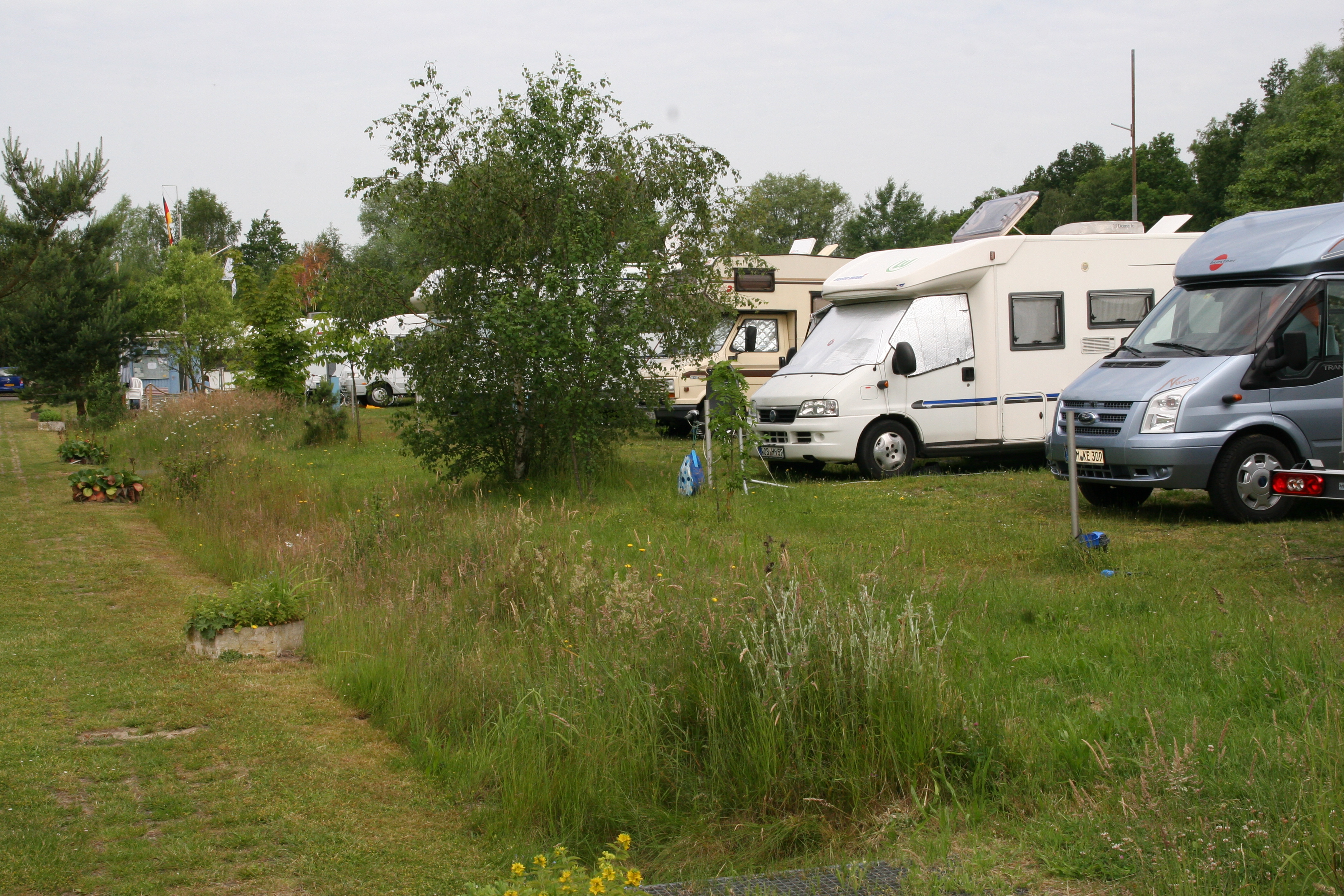 IMG_6393 IMG_6393